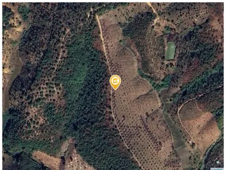 Bán đất 25000m² 800 triệu tại Xã Ia Pếch Huyện Ia Grai