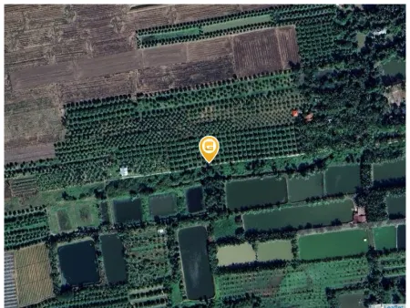 Bán đất 6.000m² 2.1 tỷ tại Xã Vĩnh Hòa Thị xã Tân Châu