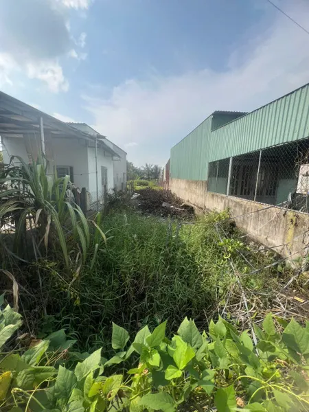 Đất 5x24 120m2 1ty1 sổ hồng riêng SDT 0909356049