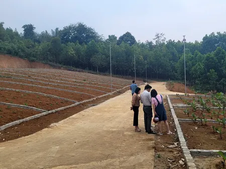 Cần tiền bán gấp, lô đất gần khu công nghiệp giá chỉ hơn 250 triệu tại Ngọc Lặc, Thanh Hóa