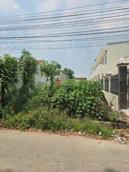 Đất 5x31 155m2 1ty5 sổ hồng riêng SDT 0909356049