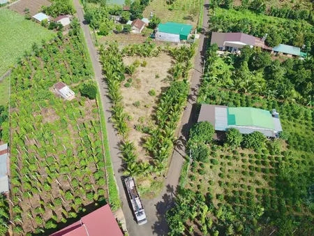 Đất sào thổ cư ekao