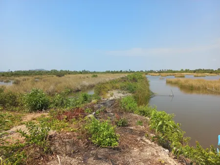 Đất tôm
