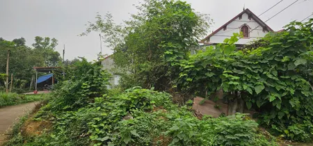 Bán Lô Đất Hồng Tiền Cách Mặt Đường 261 100M Phường Hồng Tiến, Phổ Yên, Thái Nguyên