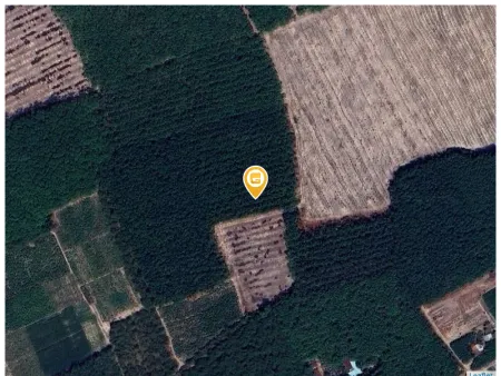 Bán đất 1000m² 180 triệu tại Xã Thành Tâm Thị xã Chơn Thành