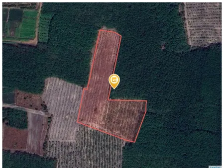 Bán đất 1000m² 180 triệu tại Xã Thành Tâm Thị xã Chơn Thành