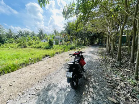 Bán đất 588,9m² 440 triệu tại thị trấn Tam bình Huyện Tam Bình