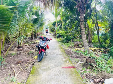 Bán đất 607m² 499 triệu tại Xã Mỹ Phước Huyện Mang Thít