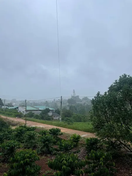 Bán Lô Đất Khu Ba Đình Nam Ban
