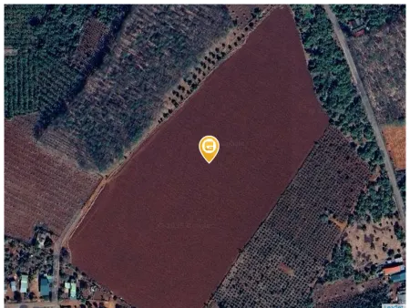 Bán đất 60000m² 12 tỷ tại Xã Ia Dom Huyện Đức Cơ. Quy hoạch full thổ cư. Ôm nhựa 130m