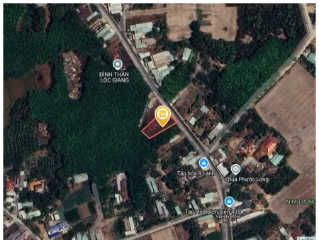 Bán đất 976.4m² 4.1 tỷ tại Xã Lộc Giang Huyện Đức Hòa