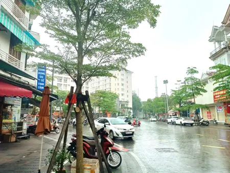 🔥 BÁN NHÀ VỊ TRÍ KIM CƯƠNG – MẶT TIỀN ĐƯỜNG HAI BÀ TRƯNG, TP HUẾ 🔥