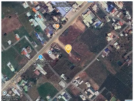 Bán đất 3000m² 8 tỷ tại Xã Hàm Cường Huyện Hàm Thuận Nam