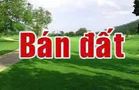 BÁN LÔ ĐẤT TẠI XÃ PHÙNG MINH, HUYỆN NGỌC LẶC, TỈNH THANH HÓA