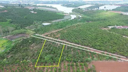 CHÍNH CHỦ Cần Bán Gấp 1200m2 đất View hồ Phúc Thọ, Lâm Hà, Lâm Đồng - GIÁ ĐẦU TƯ
