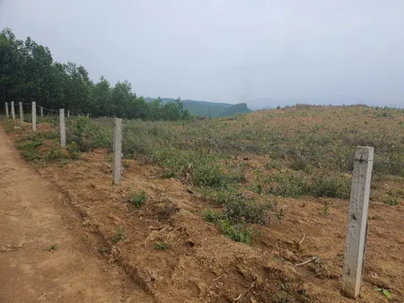ĐẤT RỪNG ĐẸP - GIÁ TỐT - Vị Trí Đắc Địa Tại Xóm Hồng, Xã Bảo Hiệu, Huyện Yên Thủy, Tỉnh Hoà Bình
