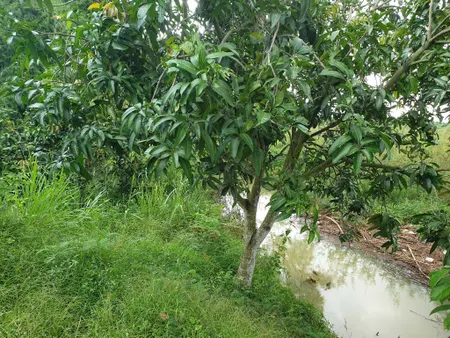 Bán đất Cạnh Bảy Cua Camping