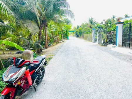 Bán đất 92,9m² 295 triệu tại Xã Song Phú Huyện Tam Bình