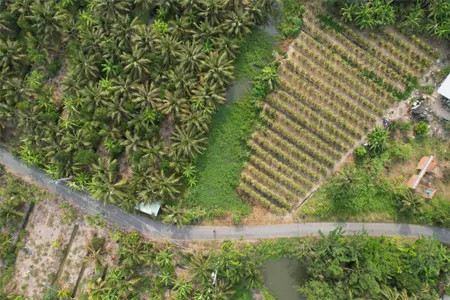 ĐẦU TƯ SINH LỜI - CHÍNH CHỦ Cần Bán Lô Đất  Full Thổ Cư Tại Thuận Mỹ, Châu Thành, Long An