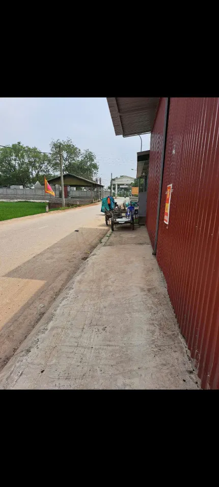 Chính chủ cần tiền, bán gấp lô đất 248,1m2 tại Khu đất Đấu giá Đồng Cầu Lọc, Ngọc  Tảo, Phúc Thọ