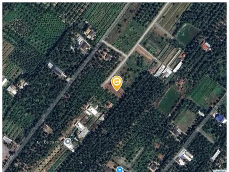 Bán đất 520m² 1.05 tỷ tại Xã Thới Lai Huyện Bình Đại