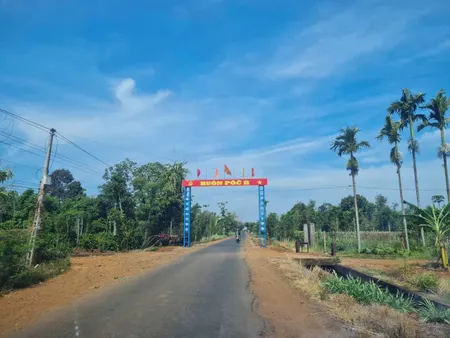 Bán đất 223m² 295 triệu tại Xã Ea M'nang Huyện Cư M'gar