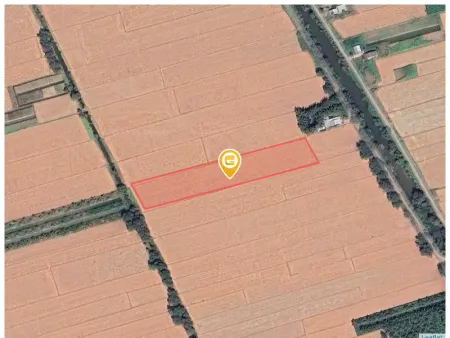 Bán đất 5462.5m² 1.9 tỷ tại Xã Hòa Thuận Huyện Châu Thành
