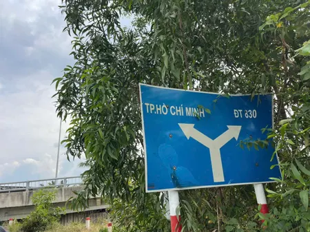 3100m2 đất lúa mt đường nhựa xã An Thạnh, Bến Lức giá 9,3 tỷ