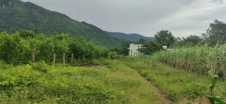 Bán đất 866m² 1.1 tỷ tại Xã Ninh Tây Thị xã Ninh Hòa 0763615365