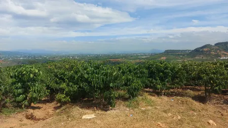 ĐẤT ĐẸP - GIÁ TỐT - Vị Trí Đắc Địa Tại Thôn Tân phú, Xã Ninh Gia, Đức Trọng, Lâm Đồng