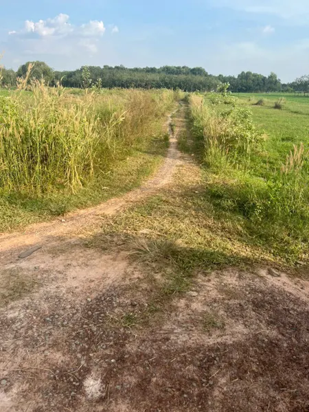 bán gấp lô đất full thổ phủ hồng Đinh Quán ĐN
