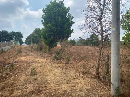 💥 🌳 Đất hẻm Làng Nhao, Ia Kênh