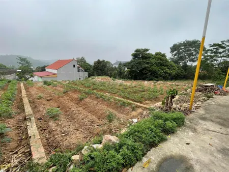 ĐẤT CHÍNH CHỦ - LÃI NGAY KHI MUA - Xã Châu Phong, TX Quế Võ, Tỉnh Bắc Ninh
