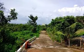 Bán đất 13.600 m² nằm ngay đoạn giữa cầu Rạch Sung và cầu So Đũa - Quốc lộ 61C