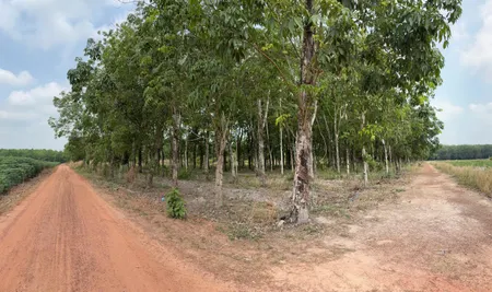 ĐẤT CAO SU ĐẸP NHƯ SÂN BANH – SÁT BECAMEX – CƠ HỘI VÀNG CHO NHÀ ĐẦU TƯ