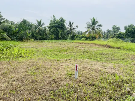 Bán đất 139.5m² ngang 5m giá 320 triệu tại Xã Long Phú Huyện Tam Bình
