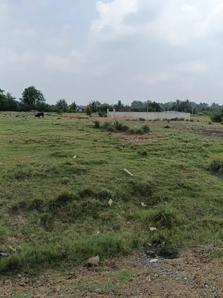 Bán đất 2000m² 18 tỷ tại Xã Tân Nhựt Huyện Bình Chánh