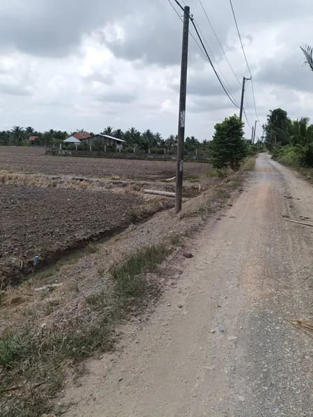 Bán đất 8000m² ngang 40m giá 23 tỷ tại Xã Bình Lợi Huyện Bình Chánh