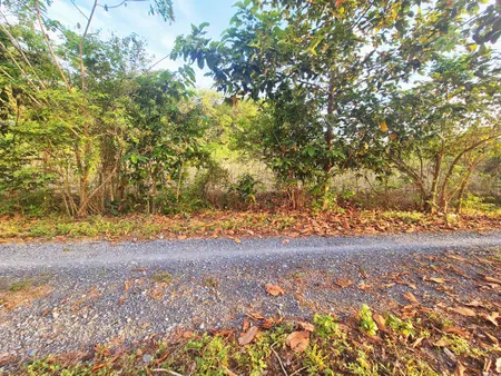 Đất 1/ Nguyễn Thị Rành - 3567m2 - 67x60 - 200m2 thổ cư - xã Nhuận Đức - Củ Chi