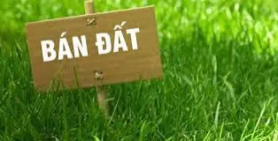 💥 Đất mặt tiền Lê Duẩn (QL19)