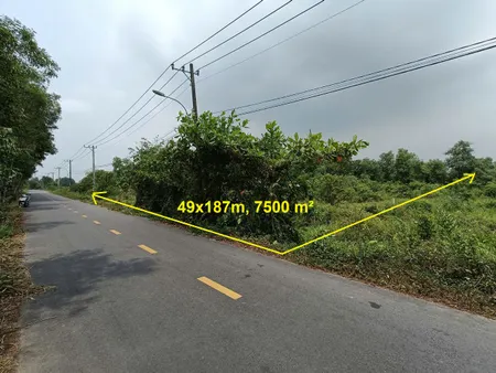 Bán đất mặt tiền đường Cá Lăng, xã Phú Hoà Đông Củ Chi, 49x187m, 7500m², 15 tỷ