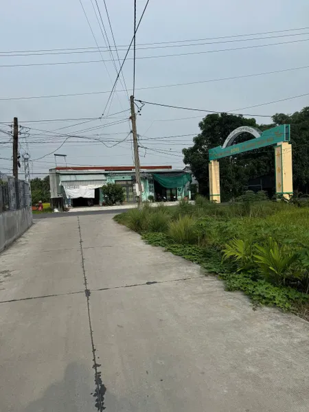 Đất THỔ CƯ ĐƯỜNG BÊ TÔNG 6M CỦA XÃ BÌNH TRÌNH ĐÔNG ! DT : 7x13 nở hậu 7m9 ( 96m2 ) Giá 425tr