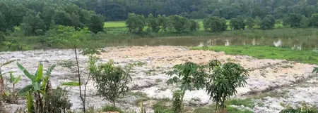 Chính chủ cần bán nhanh lô đất thôn Thượng Xá, xã Hải Phú, huyện Hải Lăng, Quảng Trị