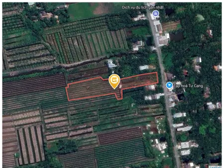 Bán đất 5697.9m² tại Xã Hòa Bình Huyện Trà Ôn