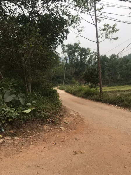 Em bán lô đất rộng view nghỉ dưỡng cánh đồng, núi non hùng vỹ