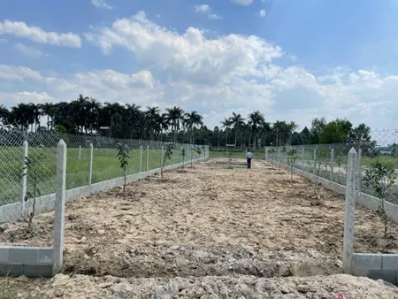 Đất vườn QH khu dân cư gần trung tâm TP HCM giá đầu tư