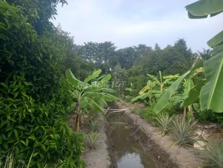 Bán đất chính chủ An Thạnh 29