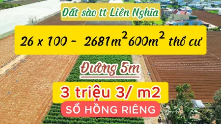 🌐🌐 Đất Sào TT Liên Nghĩa 🏝️🏝️ Diện Tích: 26 x 100 (2.681 m2) - 600m2 Đất Thổ Cư - Đường Bê Tông 5m.