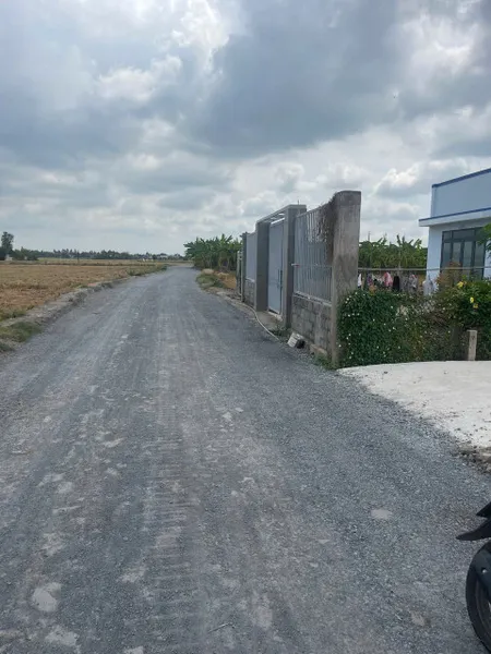 Đất thổ cư 5 x 25 ( 125m2 ) Giá : 390tr  tại xã Bình Trinh Đông, Tân Trụ,Long An