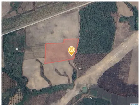 Bán đất 6601m² ngang 100m giá 660 triệu tại Xã Ninh Tây Thị xã Ninh Hòa